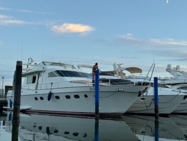 Motorboot Alfamarine 16.50