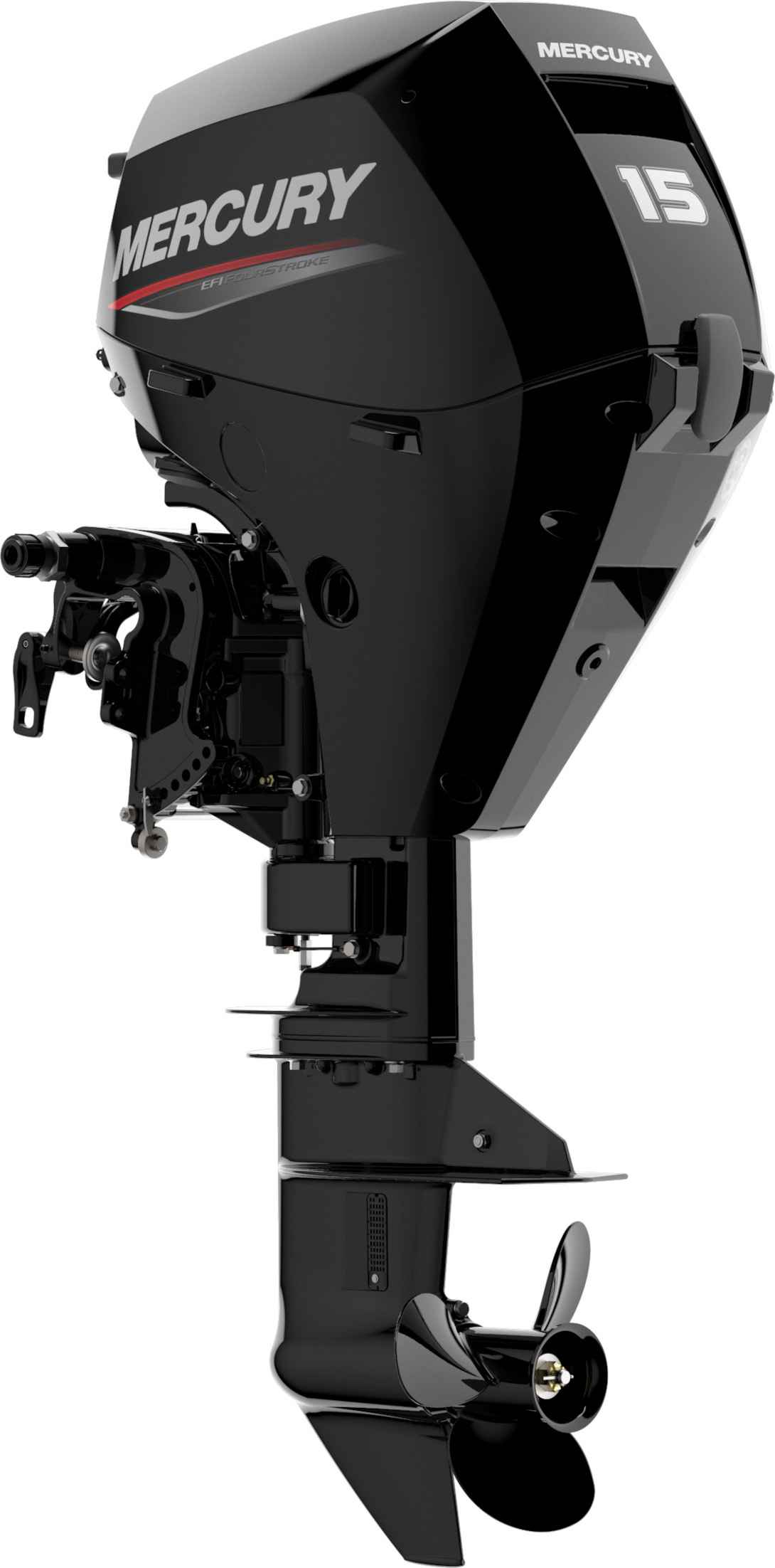 Motorboot Mercury F15 ELPT EFI