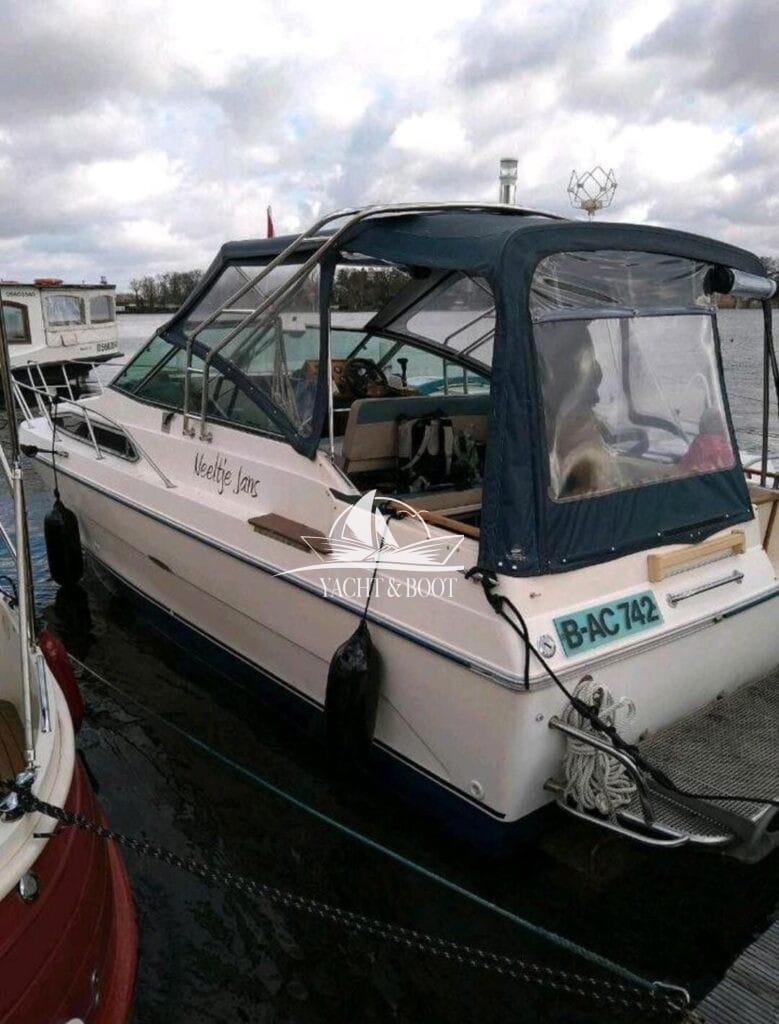 Motorboot Sea Ray 250 DA