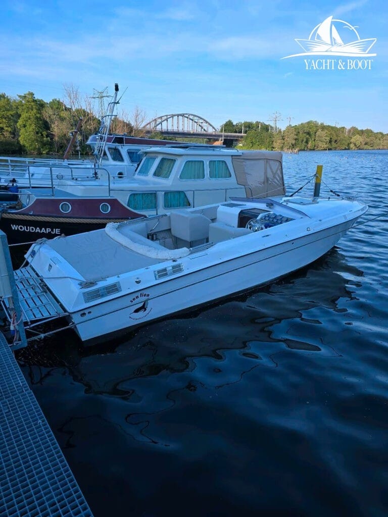Motorboot Chris Craft Scorpion 260 SL